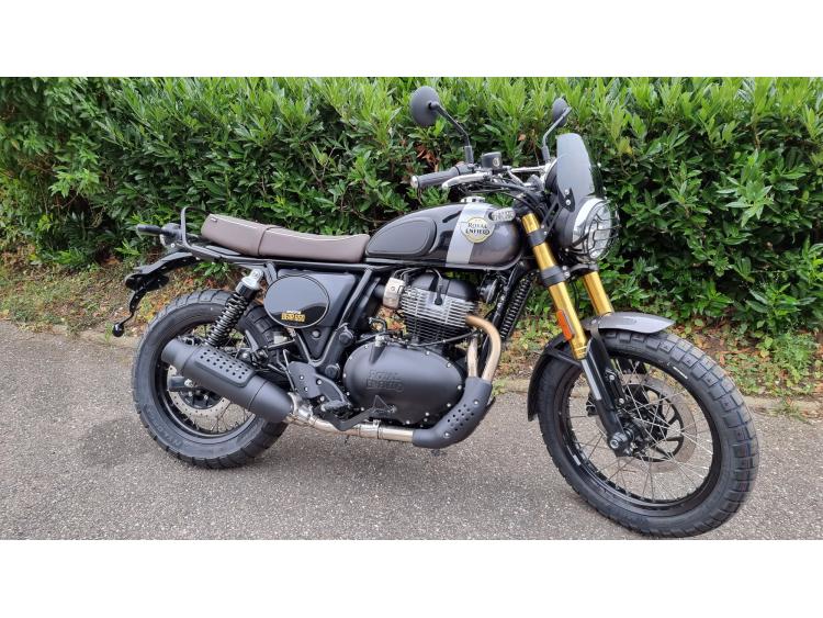ROYAL ENFIELD BEAR 650 MOTORS 54 
